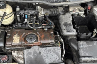 Feu arriere principal droit (feux) PEUGEOT 206
