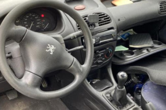 Aile avant gauche PEUGEOT 206