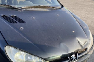 Aile avant droit PEUGEOT 206