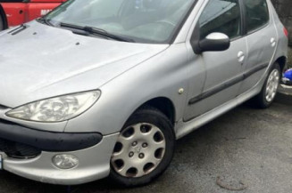 Aile avant gauche PEUGEOT 206