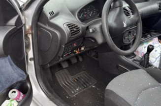 Aile avant gauche PEUGEOT 206