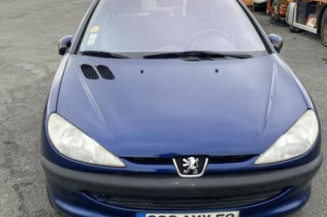 Aile avant gauche PEUGEOT 206