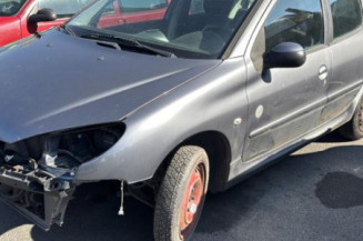 Aile avant gauche PEUGEOT 206