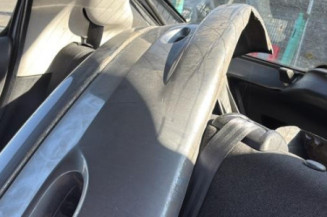 Aile avant gauche PEUGEOT 206