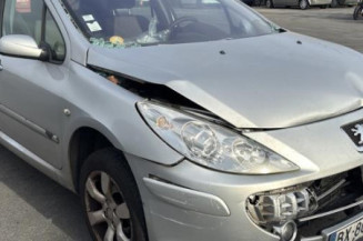 Aile avant gauche PEUGEOT 307
