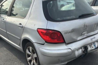 Aile avant gauche PEUGEOT 307
