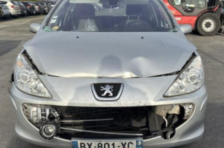 Aile avant gauche PEUGEOT 307