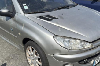 Aile avant gauche PEUGEOT 206