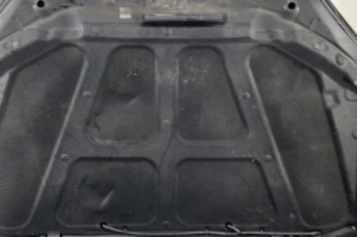 Capot SSANGYONG KYRON