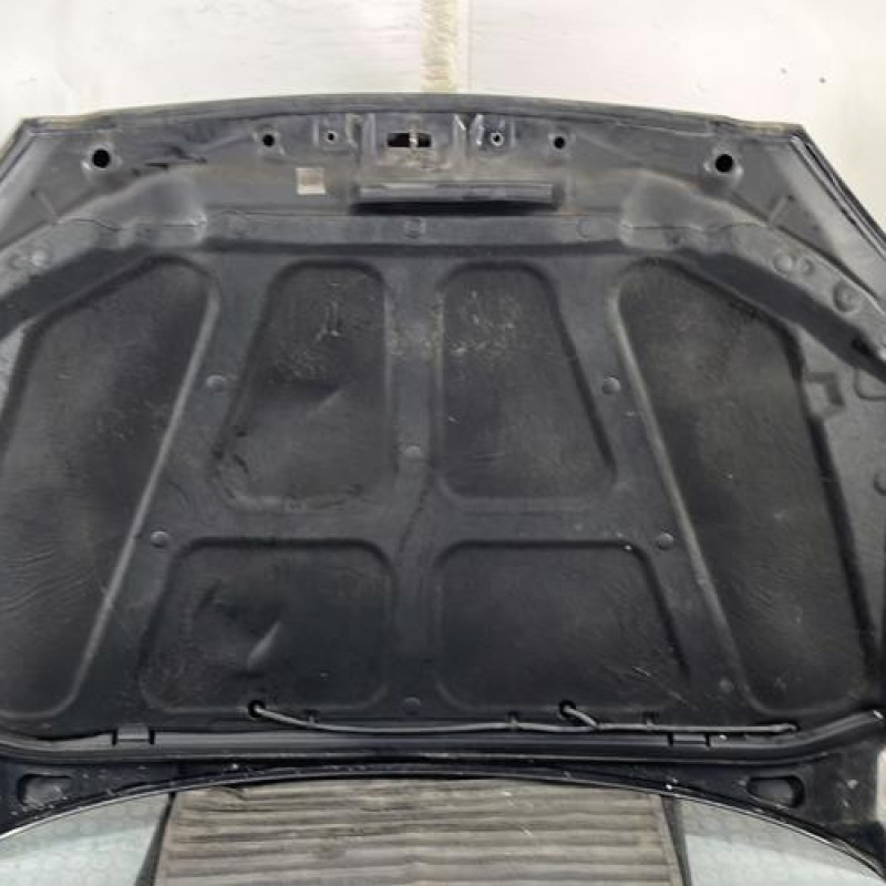 Capot SSANGYONG KYRON Photo n°11