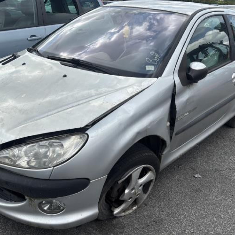 Calandre PEUGEOT 206 Photo n°5