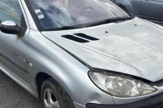 Calandre PEUGEOT 206