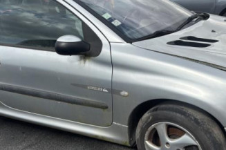 Calandre PEUGEOT 206
