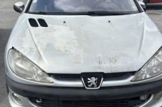 Calandre PEUGEOT 206