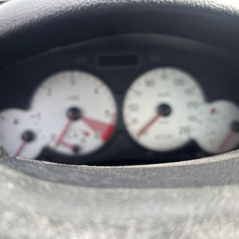 Calandre PEUGEOT 206 Photo n°18