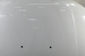 Capot DACIA DUSTER 1 Photo n°1