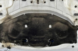 Capot DACIA DUSTER 1