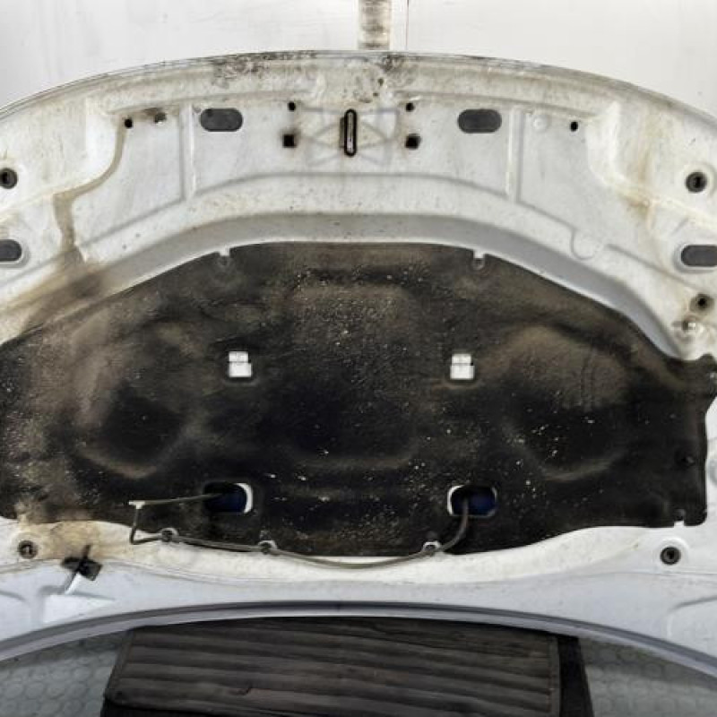 Capot DACIA DUSTER 1 Photo n°10