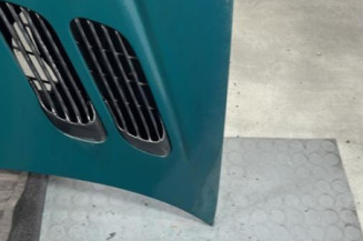Capot PEUGEOT 206