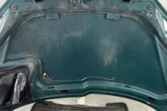 Capot PEUGEOT 206