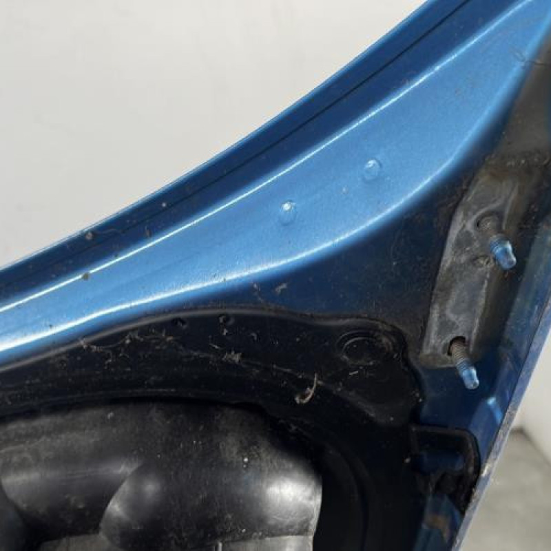 Capot PEUGEOT 206 Photo n°8