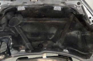 Capot PEUGEOT 206