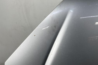 Capot PEUGEOT 206