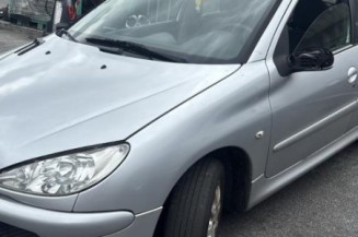 Capot PEUGEOT 206