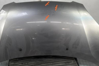 Capot KIA PICANTO 1 Photo n°1