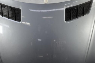 Capot MERCEDES CLASSE M 164 Photo n°1