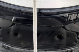 Capot MERCEDES CLASSE M 164