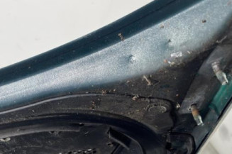 Capot PEUGEOT 206