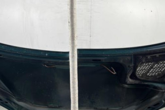 Capot PEUGEOT 206