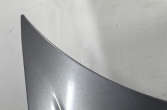 Capot PEUGEOT 206