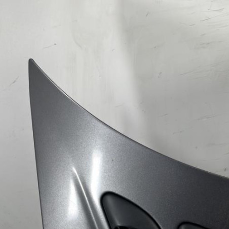 Capot PEUGEOT 206