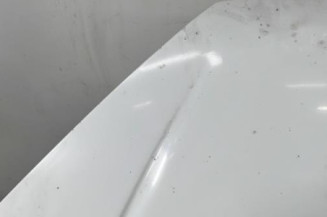 Capot PEUGEOT 206