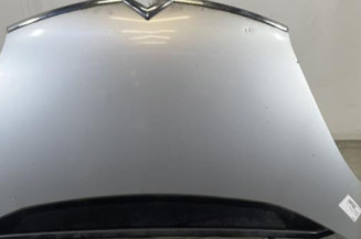 Capot CITROEN C4 PICASSO 1
