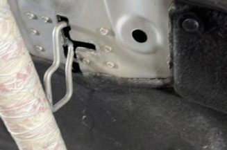Capot CITROEN C4 PICASSO 1