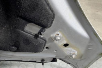Capot CITROEN C4 PICASSO 1