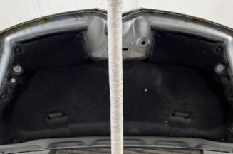 Capot CITROEN C4 PICASSO 1
