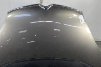 Capot CITROEN C4 GRAND PICASSO 1 Photo n°1
