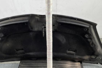 Capot CITROEN C4 GRAND PICASSO 1
