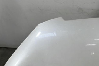 Capot PEUGEOT 2008 1 Photo n°1