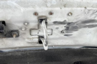 Capot PEUGEOT 2008 1