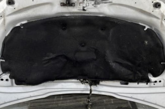 Capot PEUGEOT 2008 1