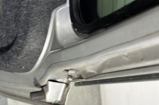 Malle/Hayon arriere PEUGEOT 206