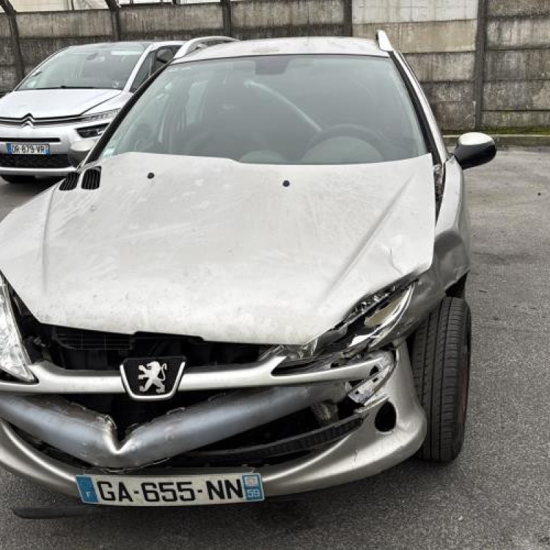 Malle/Hayon arriere PEUGEOT 206 Photo n°19