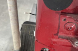 Porte arriere gauche CITROEN C3 3