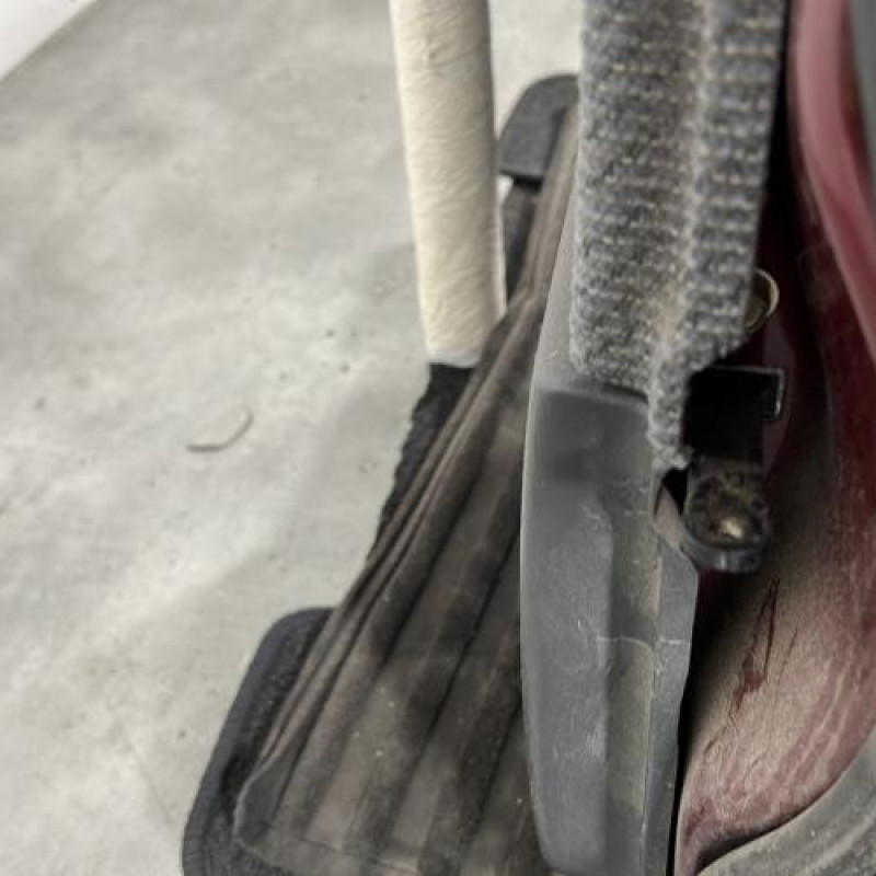 Porte arriere gauche DAIHATSU SIRION 1 Photo n°5