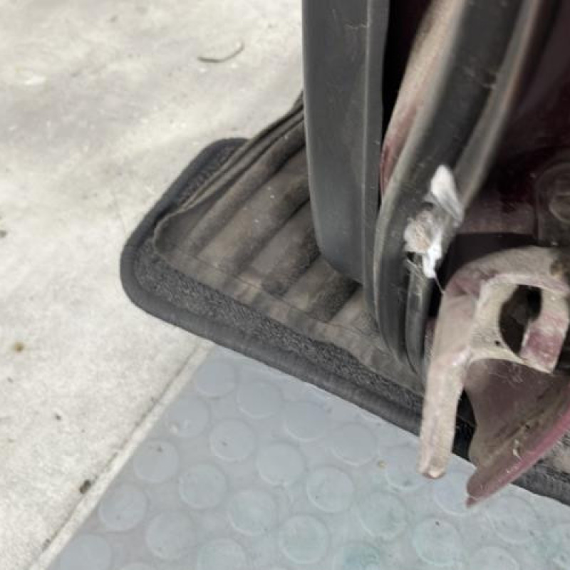 Porte arriere gauche DAIHATSU SIRION 1 Photo n°6